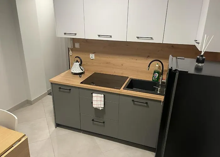 Center Apartment Chorzow